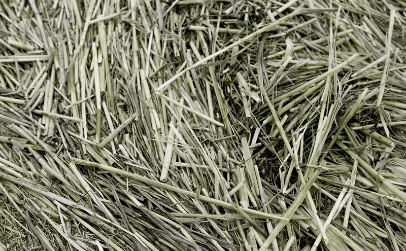 Sticks