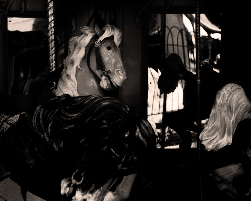 Horses